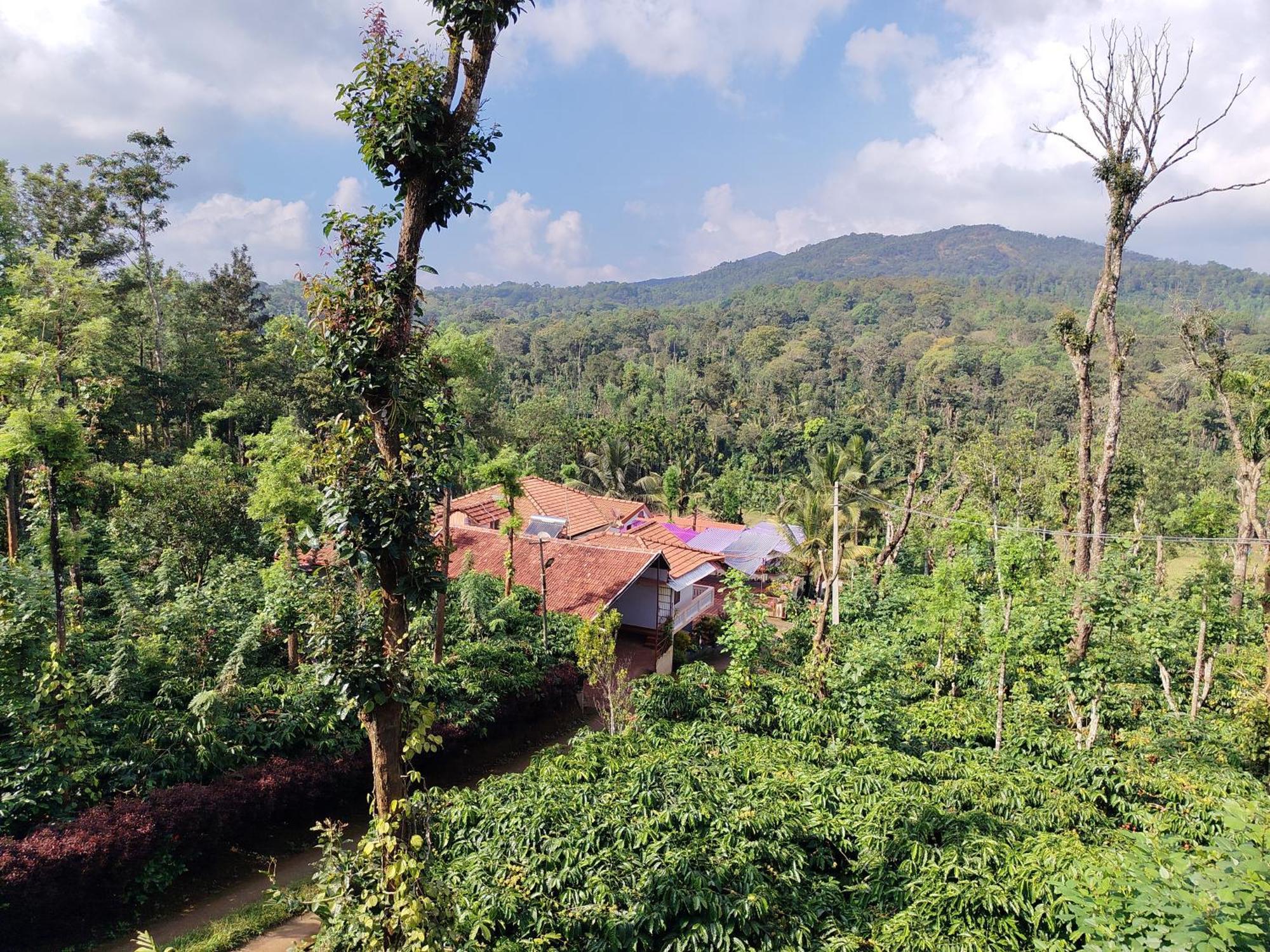 Shivalaya Homestay Madikeri Dış mekan fotoğraf